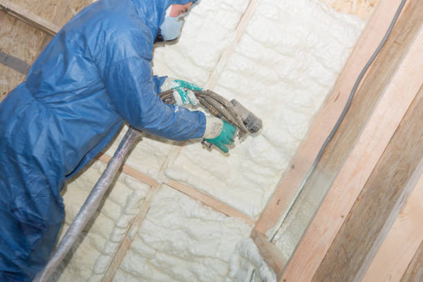 Best Radiant Barrier Insulation  in Decatur, TN